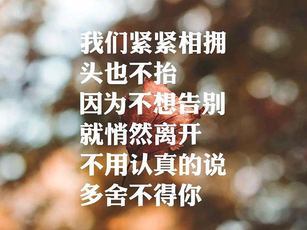 抖阴我和你本应该各自好各自坏是什么歌，出现又离开歌词介绍