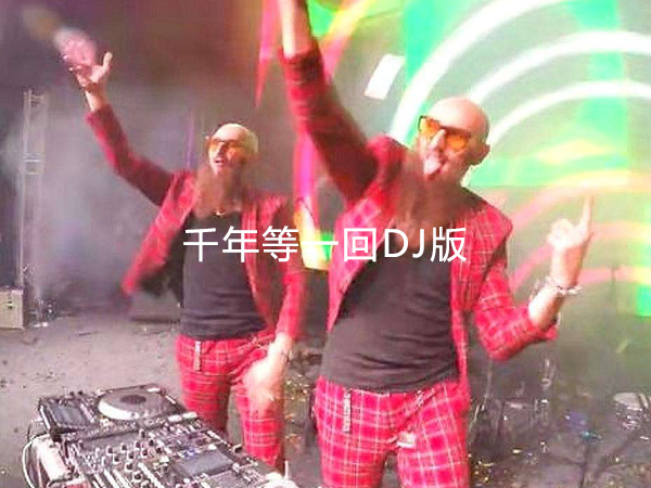 抖阴雨心碎风流泪是什么歌，千年等一回DJ版介绍
