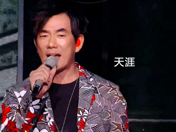 抖阴梦中的梦中梦中人的梦中是什么歌，天涯歌词介绍