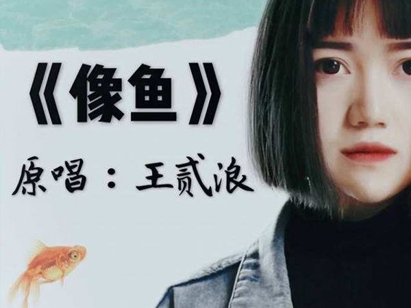 抖阴我要记住你的样子是什么歌，像鱼歌词介绍