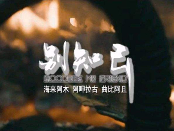 抖阴不知不觉天就亮起来是什么歌，别知己歌词介绍