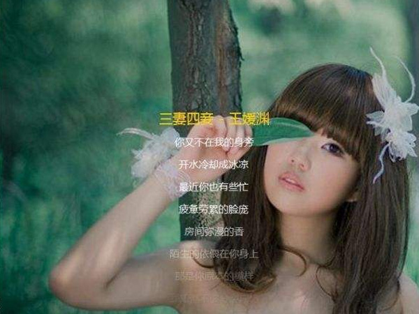 抖阴你生活在花花世界是什么歌，三妻四妾歌词介绍