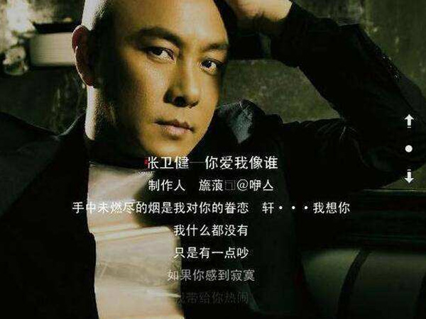 抖阴其实你爱我像谁是什么歌，你爱我像谁歌词介绍