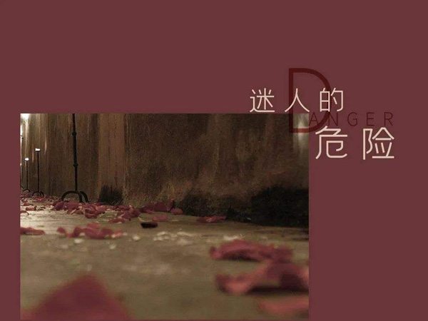 抖阴他不配站在你眼前你的痛怎能看不见是什么歌，迷人的危险歌词介绍