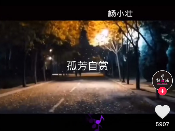 抖阴我承认我自卑我真的很怕黑是什么歌，孤芳自赏歌词介绍