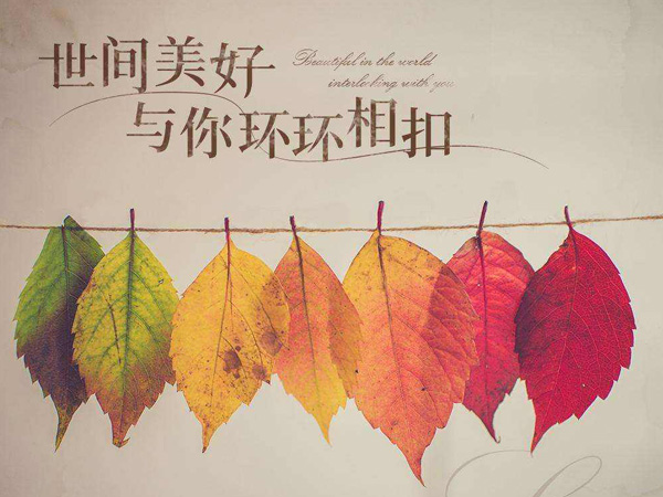 穿越人海只为与你相拥是什么歌，抖阴歌曲世间美好与你环环相扣介绍