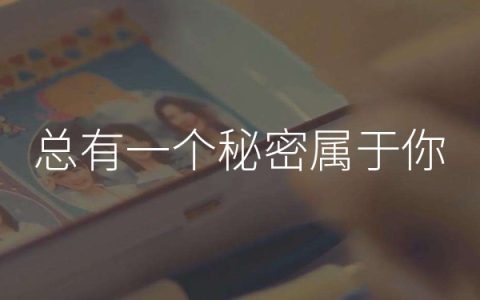 抖阴总有一个秘密属于你是什么歌，总有一个秘密属于你歌词介绍