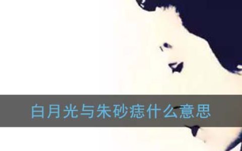 抖阴白月光与朱砂痣是什么梗