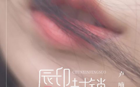 抖阴我用唇印将你情感封锁一切不再重蹈覆辙是什么歌，唇印封锁歌曲介绍