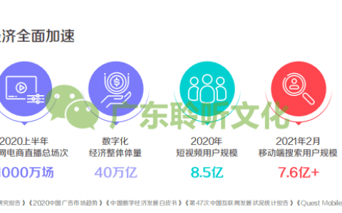 抖阴企业认证，把握两种流量
