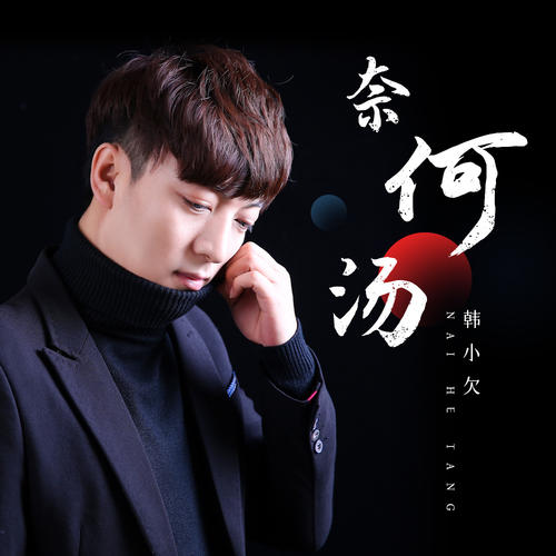 你说洱海的湖泊是你的向往是什么歌曲歌词？奈何汤原唱介绍