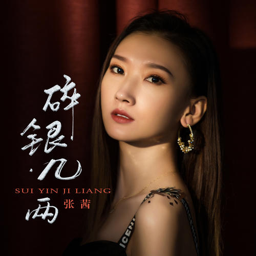 我有我的方向我有我的方向是什么歌曲歌词？碎银几两原唱歌词