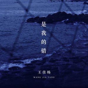 抖阴是我的过错是我的沉默是什么歌曲歌词 是我的错原唱歌词