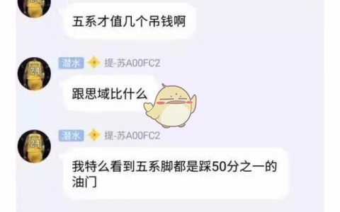 抖阴思域是什么梗 思域意思解析