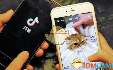 抖阴天天摔轮胎是什么梗 天天摔轮胎的意思