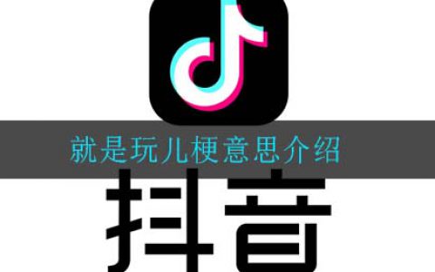 就是玩是什么梗 哎就是玩儿是什么意思