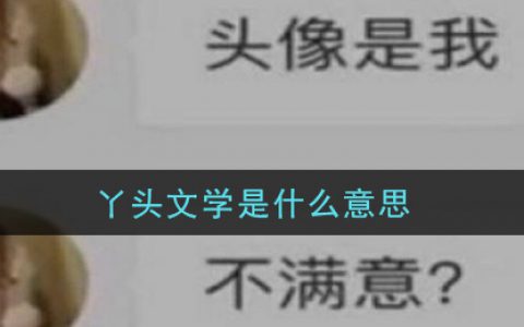 丫头文学是什么意思 丫头文学意思介绍