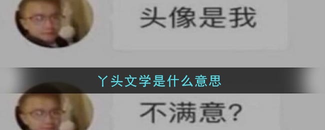 丫头文学是什么意思 丫头文学意思介绍