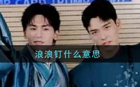 浪浪钉什么意思 浪浪钉意思介绍