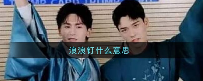 浪浪钉什么意思 浪浪钉意思介绍