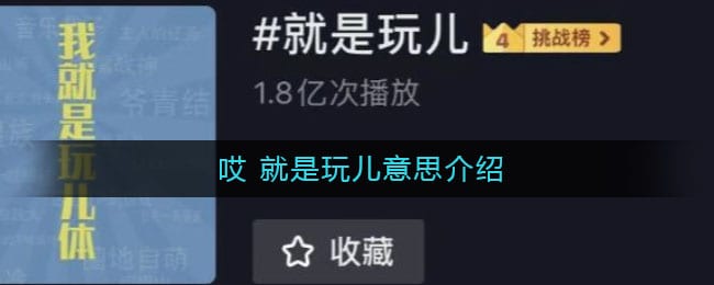 就是玩儿是什么梗  哎 就是玩儿意思介绍