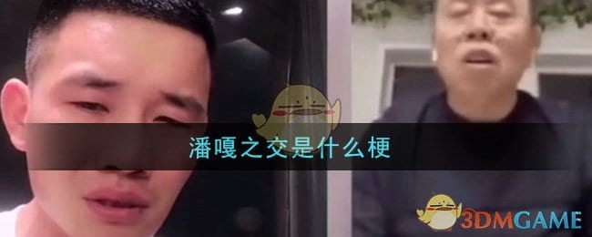 潘嘎之交是什么梗 潘嘎之交梗的意思及出处介绍