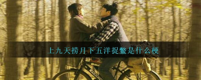 上九天捞月下五洋捉鳖是什么梗 上九天捞月下五洋捉鳖是什么意思