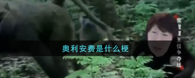 奥利安费是什么梗 奥利安费梗的意思及出处介绍