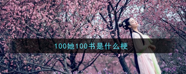 100她100书是什么梗 100她100书是什么意思