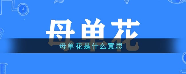 母单花是什么意思 母单花是什么梗