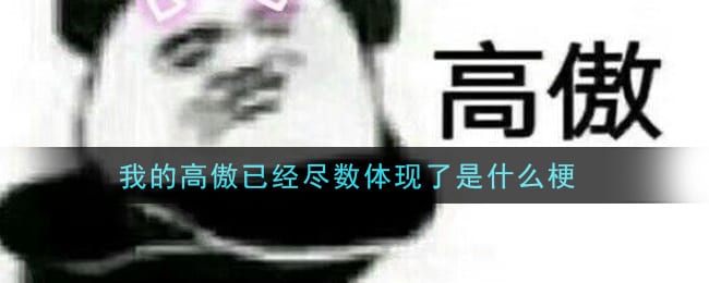 我的高傲已经尽数体现了是什么梗 我的高傲已经尽数体现了梗的意思及出处介绍