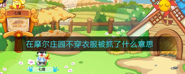 在摩尔庄园不穿衣服被抓了什么意思 摩尔庄园不穿衣服被抓