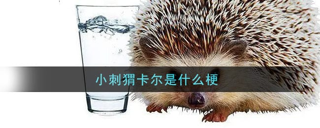 小刺猬卡尔是什么梗 小刺猬卡尔梗的意思及出处介绍