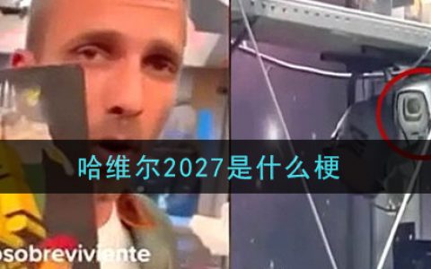 哈维尔2027是什么梗 哈维尔2027梗的意思及出处介绍