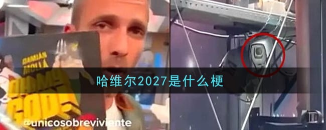 哈维尔2027是什么梗 哈维尔2027梗的意思及出处介绍