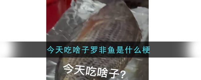 今天吃啥子罗非鱼是什么梗 今天吃啥子罗非鱼原视频