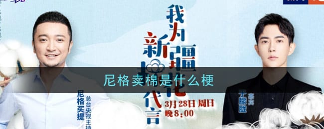 尼格卖棉是什么梗 尼格卖棉梗的意思及出处介绍