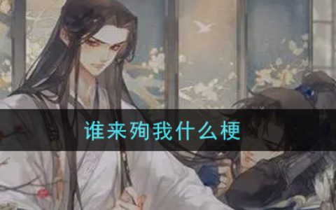 谁来殉我什么梗 谁来殉我是什么意思网络