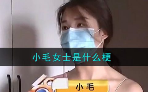 小毛女士是什么梗 小毛女士梗的意思及出处介绍
