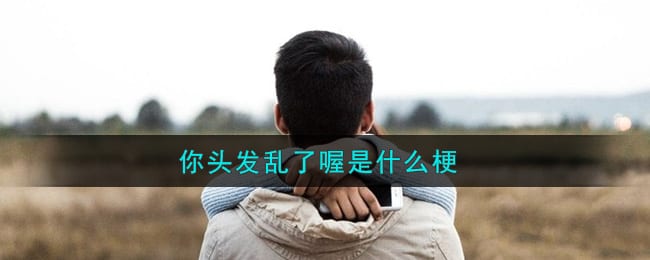 你头发乱了喔是什么梗 你头发乱了喔是什么意思