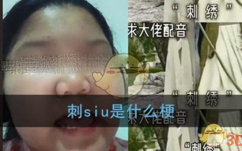 刺siu是什么梗 抖阴中国十大国粹刺绣梗含义出处