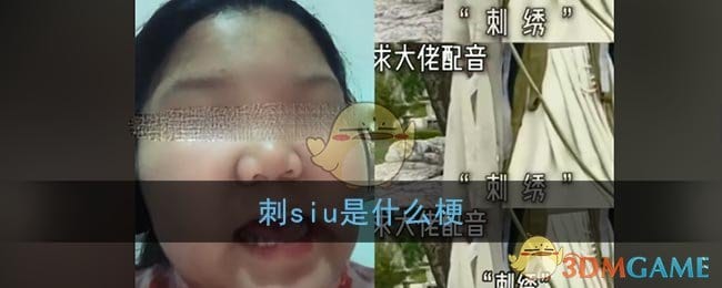 刺siu是什么梗 抖阴中国十大国粹刺绣梗含义出处