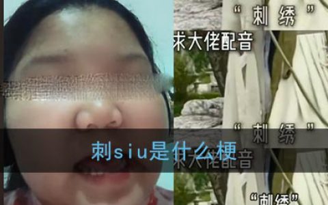 刺siu是什么梗？抖阴中国十大国粹刺绣梗