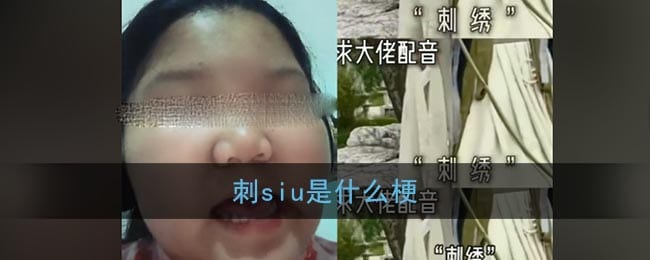刺siu是什么梗？抖阴中国十大国粹刺绣梗
