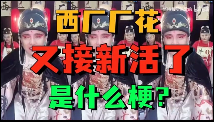 “西厂厂花雨化田又接新活了”是什么梗？