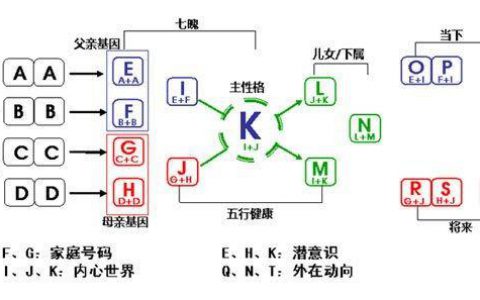 抖阴生命数字是怎么算的 生命数字计算方式方法介绍