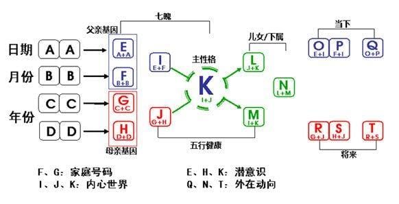 抖阴生命数字是怎么算的 生命数字计算方式方法介绍