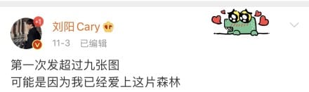 爱上了这片森林什么意思什么梗 抖阴爱上了这片森林含义出处介绍