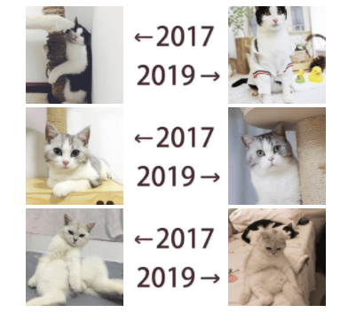 朋友圈←2017 2019→什么意思什么梗 2017到2019含义出处介绍