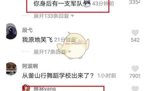 抖阴你身后有一支军队是什么意思 评论你身后有一支军队热梗介绍